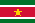 Xia/Republic of Suriname